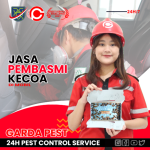Jasa Pembasmi Kecoa di Mobil Bandung